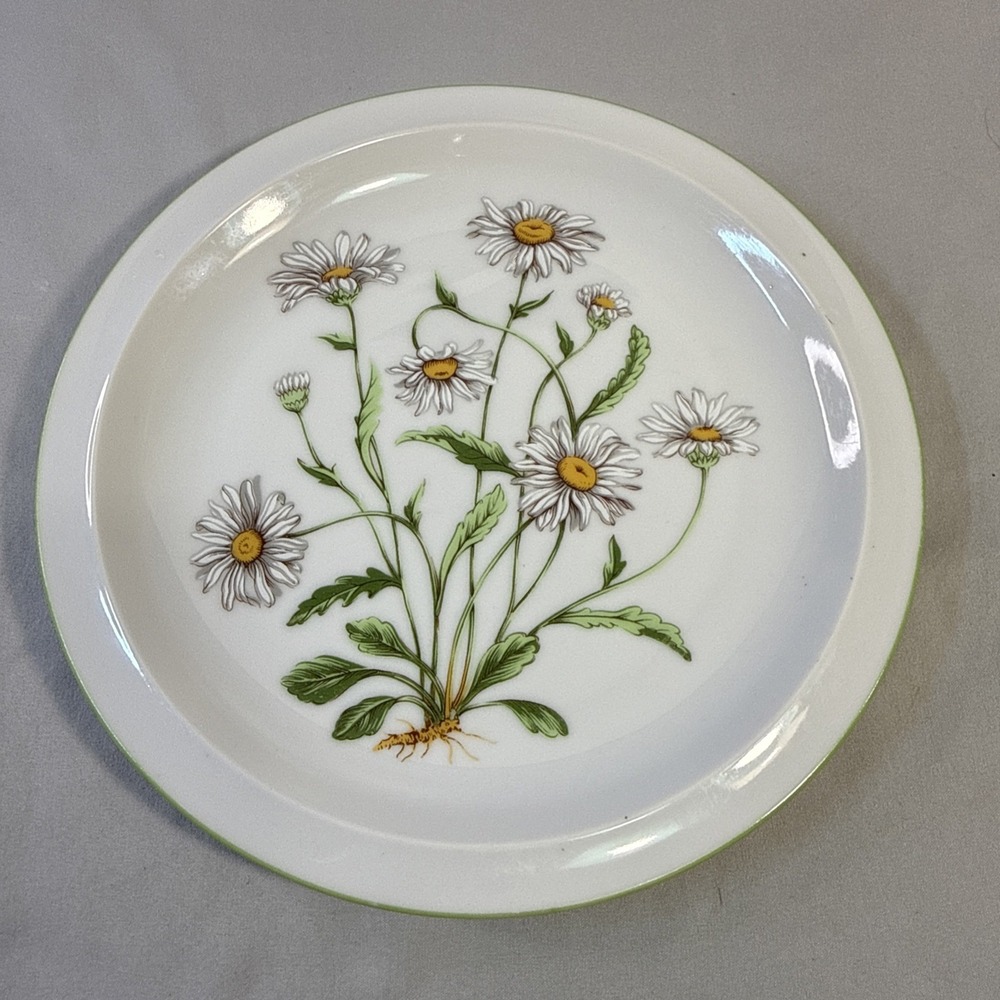 Vintage Royal Domino Collection "Wild Daisy" 7.5" Salad/Luncheon Plate